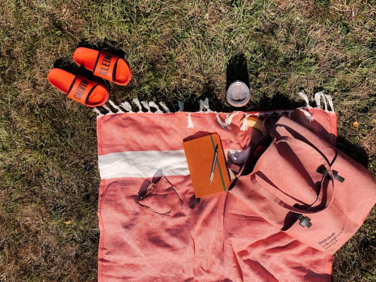 How to Choose the Best Picnic Equipment for Any Occasion