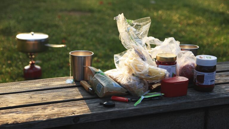 Creative Picnic Ideas That Will Make Your Gatherings Unforgettable